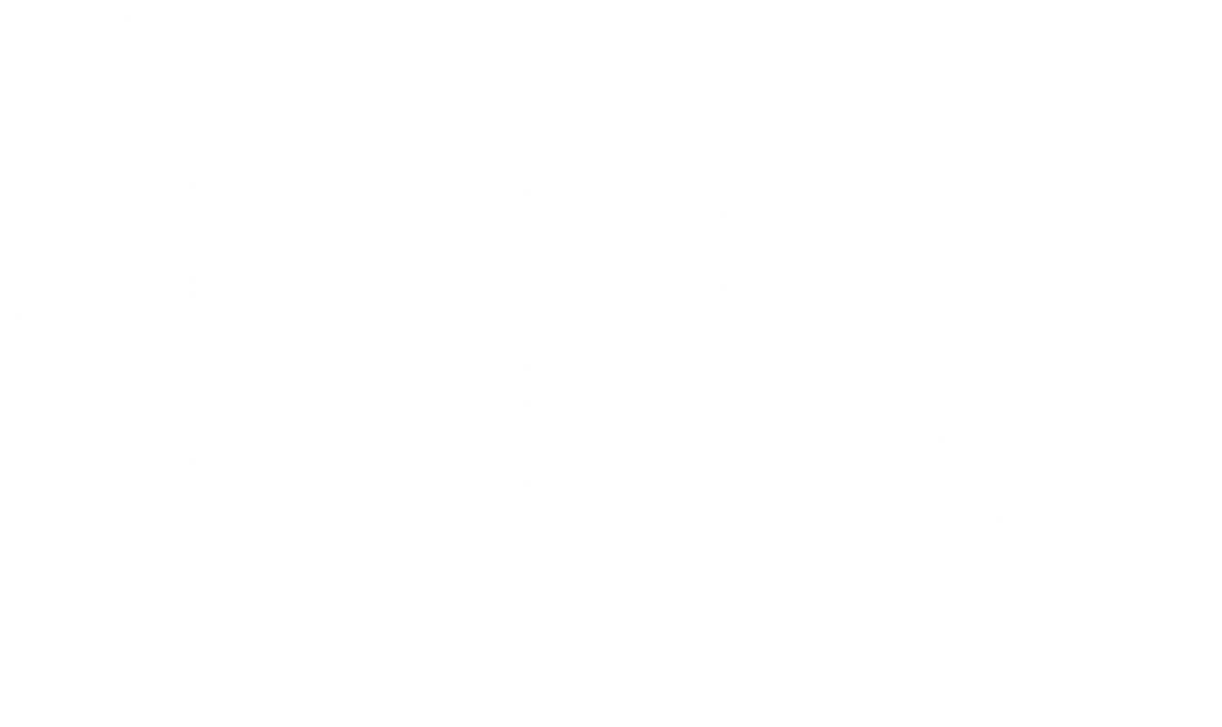 Binn Group Logo (White)