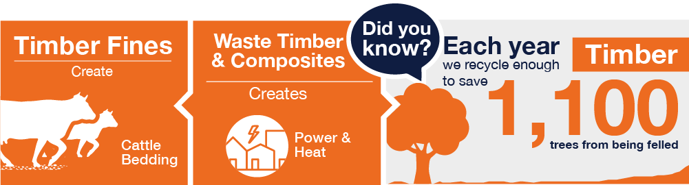 Binn Group Trade sector infographic showing timber and fines information on a orange background with white text